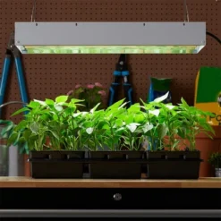 Hydrofarm FLT24 Agrobrite 4-Tube Daisy Chainable Hydroponic 2-Foot Grow Light Fixture 96W With 4-T5 Bulbs For Indoor Home Gardens -Sunnydaze Decor Store GUEST 8bdf897b bb6a 4ac7 91f4 5c6ed21d84eb