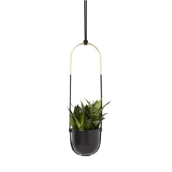 Bolo Planter Black - Umbra