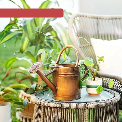 Homarden 81oz Galvanized Copper Watering Can With Removable Spout 1 Homarden 81oz Galvanized Copper Watering Can With Removable Spout