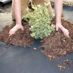 DeWitt Weed Barrier Pro 3-Ounce Commercial And Home Garden Landscape Weed Block Barrier Heavy-Duty Non-Woven Ground Cover Fabric, Black 10 DeWitt Weed Barrier Pro 3-Ounce Commercial And Home Garden Landscape Weed Block Barrier Heavy-Duty Non-Woven Ground Cover Fabric, Black -Sunnydaze Decor Store GUEST 8ec83369 f28f 49ca 8c05 1a8805e12ebc