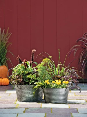 Gardener's Supply Company Galvanized Planter | Sturdy Vintage Style Galvanized Wash Basin Farmhouse Metal Planters With Side Holders For Herbs, 2 Gardener's Supply Company Galvanized Planter | Sturdy Vintage Style Galvanized Wash Basin Farmhouse Metal Planters With Side Holders For Herbs, - Image 2
