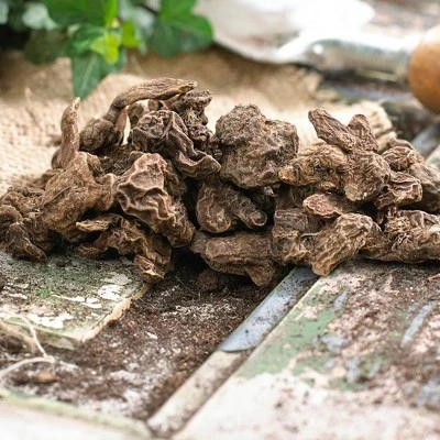 100ct Wind Flowers Anemone Blanda Mixed Bulbs - Van Zyverden 1 100ct Wind Flowers Anemone Blanda Mixed Bulbs - Van Zyverden