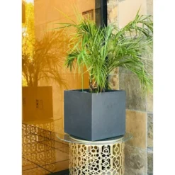 12" Square Concrete/Fiberglass Elegant Indoor/Outdoor Planter Charcoal Gray - Rosemead Home & Garden, Inc. 13 12" Square Concrete/Fiberglass Elegant Indoor/Outdoor Planter Charcoal Gray - Rosemead Home & Garden, Inc. -Sunnydaze Decor Store GUEST 9150116b 7a16 4c20 b901 2f4bd5cf6844