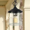 9.5" Metal/Glass Outdoor Pendant Light Black - LNC