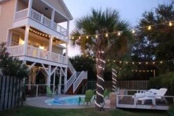 Novelty Lights Edison Outdoor String Lights With 50 Suspended Sockets Brown Wire 100 Feet -Sunnydaze Decor Store GUEST 9501d585 9718 4e5e a196 c051c3ff3188