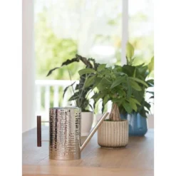 Gardener's Supply Company Stainless Steel Watering Can | Stylish And Modern Design With Easy Grip Wooden Handle & Long Spout To Prevent Spillage | -Sunnydaze Decor Store GUEST 95dc78fb b7b8 4f43 9373 18aebd9a4bbc