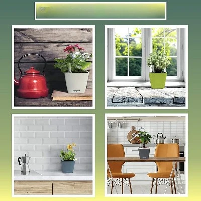 Window Garden 5'' Aquaphoric Self Watering Planter - Pink 2 Window Garden 5'' Aquaphoric Self Watering Planter - Pink - Image 2