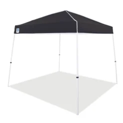 Z-Shade 10 X 10 Foot Angled Leg Outdoor Canopy Tent With A Push Button Locking System And Z-Shade 4 Pack Of Heavy Duty Leg Weight Bags, Black