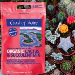 Coast Of Maine Indoor Outdoor Mount Desert Island Blend Organic Cactus And Succulent Potting Soil Mix With Beneficial Nutrients, 8 Quart Bag (2 Pack) -Sunnydaze Decor Store GUEST 9a9254bc 67bb 4f52 aa3d b3215eecbbf3