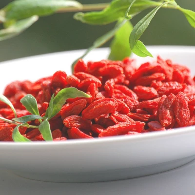 2.5qt Gogi Berry Plant With White Blooms - National Plant Network 4 2.5qt Gogi Berry Plant With White Blooms - National Plant Network - Image 4