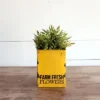 Distressed Yellow "Farm Fresh" Decorative Metal Planter Storage Tin - Foreside Home & Garden