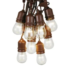 Novelty Lights Edison Outdoor String Lights With 50 Suspended Sockets Brown Wire 100 Feet -Sunnydaze Decor Store GUEST 9df2c9de caf2 42d5 a68b d51298a71747