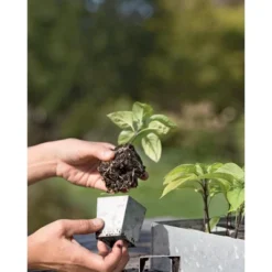 Gardener's Supply Company Galvanized Steel Seed Starter Tray | Heavy Duty Metal Greenhouse Seed Starting Tray With 24 Removable Cells | Indoor & -Sunnydaze Decor Store GUEST a6fd7bc7 a285 418f b59a 6665bf65aee7