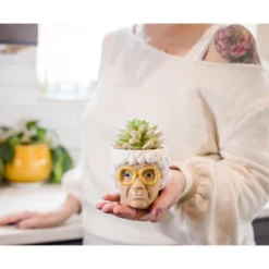 Silver Buffalo The Golden Girls Sophia Face Mini Ceramic Planter With Faux Succulent | 3 Inches 7 Silver Buffalo The Golden Girls Sophia Face Mini Ceramic Planter With Faux Succulent | 3 Inches -Sunnydaze Decor Store GUEST a847e786 6923 4017 81ce d46a2abac80a