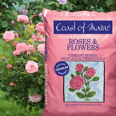 Coast Of Maine Organic Natural Gardening Compost Potting Planting Soil Blend For Roses, Other Flowers, And Plants, 20 Quart Bag (2 Pack) 2 Coast Of Maine Organic Natural Gardening Compost Potting Planting Soil Blend For Roses, Other Flowers, And Plants, 20 Quart Bag (2 Pack) - Image 2