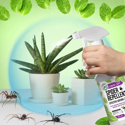 Mighty Mint Spider Repellent - 16oz 2 Mighty Mint Spider Repellent - 16oz - Image 2