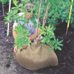 DeWitt NAT4300 4 X 300 Ft All Natural Organic Biodegradable Paper Mulch Garden Weed Control Barrier 7 DeWitt NAT4300 4 X 300 Ft All Natural Organic Biodegradable Paper Mulch Garden Weed Control Barrier -Sunnydaze Decor Store GUEST b442a65b acf5 4154 a557 05faf91953c2