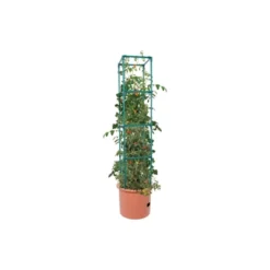 Hydrofarm GCTB Tomato Barrel Pot Garden Planting System And 4 Foot Trellis Tower