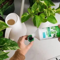 Back To The Roots All Purpose Plant Food 1.5lb -Sunnydaze Decor Store GUEST c0329de8 4047 4275 b4f7 f816dcb3caba