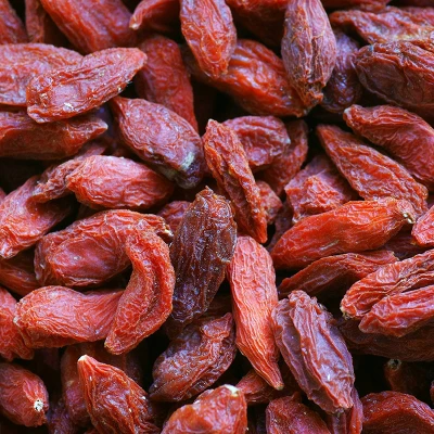 2.5qt Gogi Berry Plant With White Blooms - National Plant Network 3 2.5qt Gogi Berry Plant With White Blooms - National Plant Network - Image 3