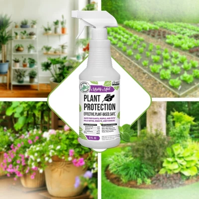 Mighty Mint 31oz Plant Protection 2 Mighty Mint 31oz Plant Protection - Image 2