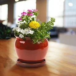 Southern Patio Wisteria 12 Inch Ceramic Planter Pot With Saucer (2 Pack) -Sunnydaze Decor Store GUEST c6dc51a5 95de 4a1e 835e 5491d8bf0fc3