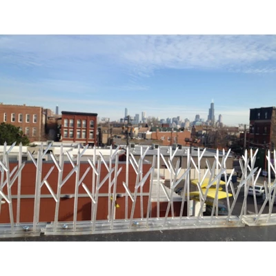 Bird-X 10ft Bird Spikes Kit With Glue 2 Bird-X 10ft Bird Spikes Kit With Glue - Image 2