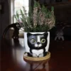 Window Garden Animal Planters - Large Oreo Kitty Pot For Indoor Live Plants, Succulents, Flowers & Herbs