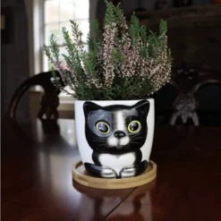 Window Garden Animal Planters - Large Oreo Kitty Pot For Indoor Live Plants, Succulents, Flowers & Herbs