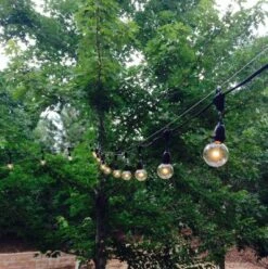 Novelty Lights Globe Outdoor String Lights With 25 Suspended Sockets Suspended Black Wire 25 Feet 15 Novelty Lights Globe Outdoor String Lights With 25 Suspended Sockets Suspended Black Wire 25 Feet -Sunnydaze Decor Store GUEST cc3a3959 4178 4232 a50a 95bf4508b38d