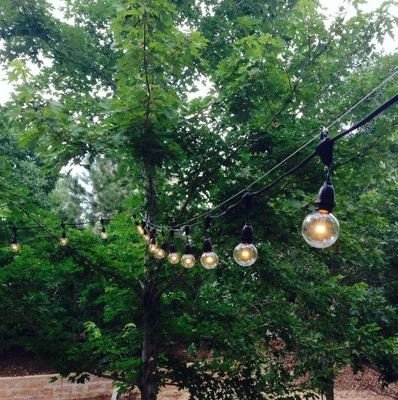 Novelty Lights Globe Outdoor String Lights With 25 Suspended Sockets Suspended Black Wire 25 Feet 6 Novelty Lights Globe Outdoor String Lights With 25 Suspended Sockets Suspended Black Wire 25 Feet - Image 6
