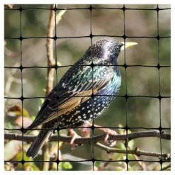 100'x14' Standard Bird Netting - Bird-X -Sunnydaze Decor Store GUEST ccd1100d ffba 4069 8e6f ec685ee84616