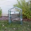 Sunnydaze Decor Sunnydaze Outdoor Portable Growing Rack 2-Tier Greenhouse With PVC Roll-Up Door - 2 Shelves - Clear