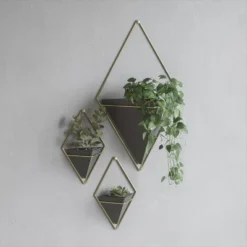 Set Of 2 Trigg Wall Display Planters Black/Brass - Umbra -Sunnydaze Decor Store GUEST d216d457 d03d 4261 870a cad6bdc20fbe