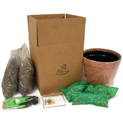 Van Zyverden 46ct Bulbs Multicolored Unison Spring Blooming Patio Planter Set 5 Van Zyverden 46ct Bulbs Multicolored Unison Spring Blooming Patio Planter Set - Image 5