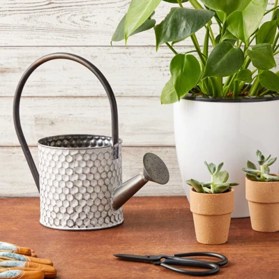 Okuna Outpost Galvanized Metal Watering Can Vase For Indoor Outdoor Plant, Succulents (5.1 X 10 In) 2 Okuna Outpost Galvanized Metal Watering Can Vase For Indoor Outdoor Plant, Succulents (5.1 X 10 In) - Image 2