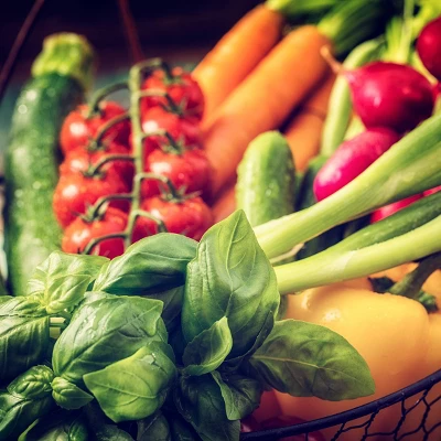 Back To The Roots 10pk Organic USA Beginner’s Garden Seeds 4 Back To The Roots 10pk Organic USA Beginner’s Garden Seeds - Image 4