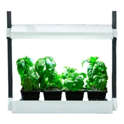 SunBlaster SL1600219 Growlight Micro Sized Complete LED Powered Indoor Garden Stand System, White 6 SunBlaster SL1600219 Growlight Micro Sized Complete LED Powered Indoor Garden Stand System, White -Sunnydaze Decor Store GUEST d683960f 63af 4198 864d 74612f387237
