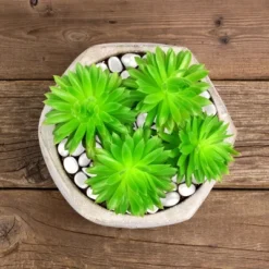 Nature Spring Glow-in-the-Dark Solar Pathway Pebble Lights, 200 Pcs. - Blue -Sunnydaze Decor Store GUEST d71e7d16 f5cd 4539 8248 ab1ba73ebeff