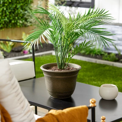 HC Companies SRA10001P02 Sierra 10 Inch Self Watering Round Weather Resistant Plastic Resin Flower Garden Planter Pot Container, Celtic Bronze 1 HC Companies SRA10001P02 Sierra 10 Inch Self Watering Round Weather Resistant Plastic Resin Flower Garden Planter Pot Container, Celtic Bronze