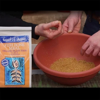 Coast Of Maine OMRI Listed Fish Bone Meal Pack Organic Compost Potting Soil Blend For Container Gardens And Flower Pots, 3 Pound Bag 3 Coast Of Maine OMRI Listed Fish Bone Meal Pack Organic Compost Potting Soil Blend For Container Gardens And Flower Pots, 3 Pound Bag - Image 3