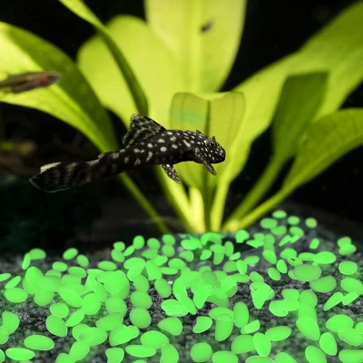 Nature Spring Glow In The Dark Solar Garden Stone Pebble Lights For Landscaping, Flower Beds, And Pathways - Green, 500-pc 3 Nature Spring Glow In The Dark Solar Garden Stone Pebble Lights For Landscaping, Flower Beds, And Pathways - Green, 500-pc - Image 3