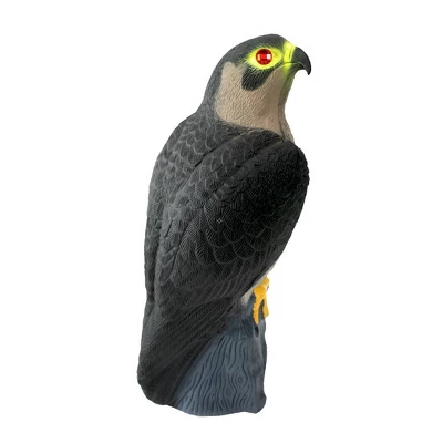 2pk 16" Falcon Decoy - Bird-X 2 2pk 16" Falcon Decoy - Bird-X - Image 2