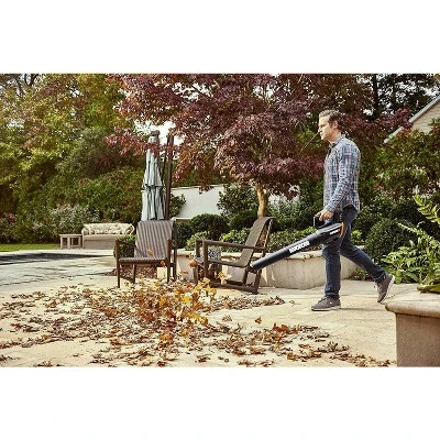 Worx WG547.1 Turbine Two Speed Cordless Leaf Blower 1 Worx WG547.1 Turbine Two Speed Cordless Leaf Blower