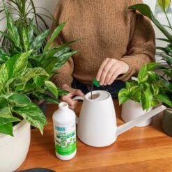 Back To The Roots All Purpose Plant Food 1.5lb -Sunnydaze Decor Store GUEST e3158163 5203 4f67 ad23 b96578e1a69f