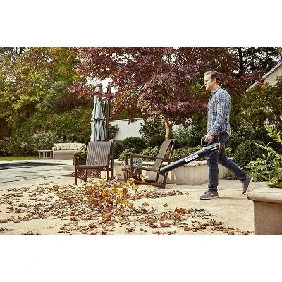 Worx WG547.2 20V Power Share TURBINE 4.0Ah Cordless Two-Speed Leaf Blower 1 Worx WG547.2 20V Power Share TURBINE 4.0Ah Cordless Two-Speed Leaf Blower