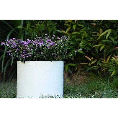 Rosemead Home & Garden, Inc. 10" Wide Kante Lightweight Modern Concrete Outdoor Planter Pot Pure White 1 Rosemead Home & Garden, Inc. 10" Wide Kante Lightweight Modern Concrete Outdoor Planter Pot Pure White