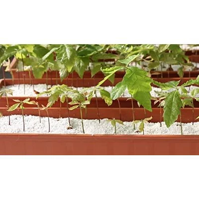 GROW!T Super Coarse #2 Perlite For Hydroponic Greenhouses Gardens Potting Soil 4 Cubic Feet 3 GROW!T Super Coarse #2 Perlite For Hydroponic Greenhouses Gardens Potting Soil 4 Cubic Feet - Image 3