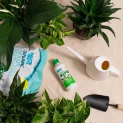 Back To The Roots All Purpose Plant Food 1.5lb -Sunnydaze Decor Store GUEST e816c4fe 78a7 4e47 84aa 4748f370b05b