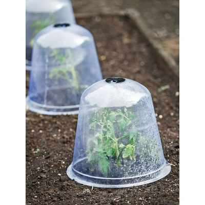 Gardeners Supply Company Large Garden Cloche Plant Protector | Clear Sturdy PVC Plants Bell Dome Heat & Freeze Cover With Top Hole Ventilation For 2 Gardeners Supply Company Large Garden Cloche Plant Protector | Clear Sturdy PVC Plants Bell Dome Heat & Freeze Cover With Top Hole Ventilation For - Image 2